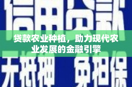 张湾贷款农业种植，助力现代农业发展的金融引擎