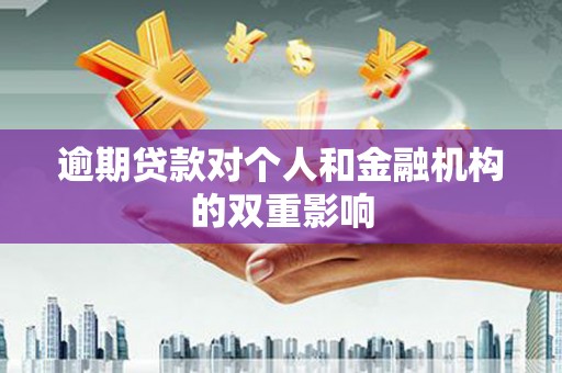 张湾逾期贷款对个人和金融机构的双重影响