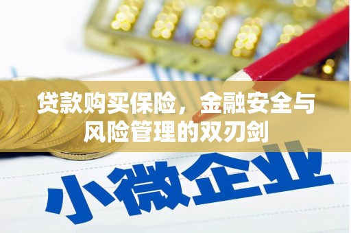 张湾贷款购买保险，金融安全与风险管理的双刃剑