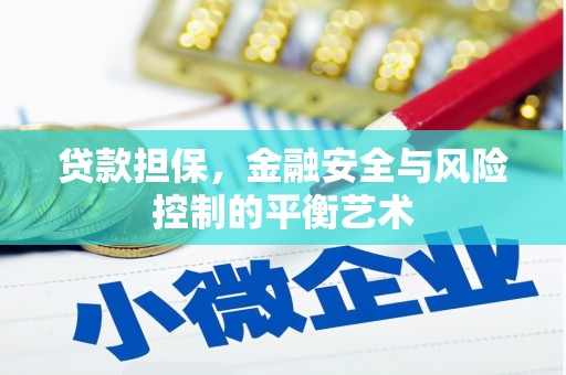 张湾贷款担保，金融安全与风险控制的平衡艺术