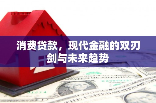 张湾消费贷款，现代金融的双刃剑与未来趋势