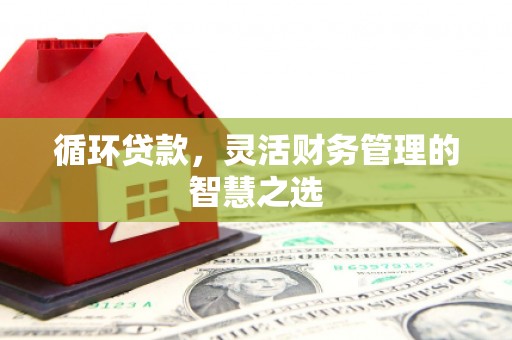 张湾循环贷款，灵活财务管理的智慧之选