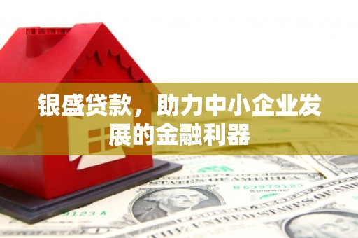 张湾银盛贷款，助力中小企业发展的金融利器