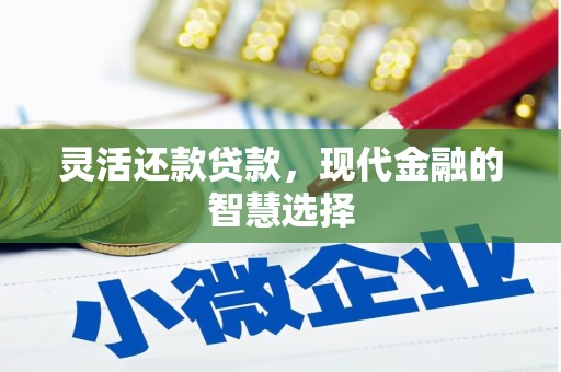 张湾灵活还款贷款，现代金融的智慧选择