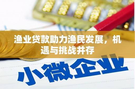 张湾渔业贷款助力渔民发展，机遇与挑战并存