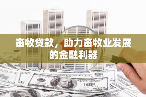 张湾畜牧贷款，助力畜牧业发展的金融利器