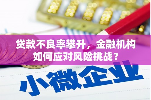张湾贷款不良率攀升，金融机构如何应对风险挑战？