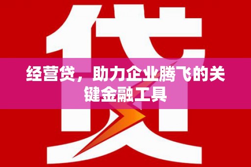 张湾经营贷，助力企业腾飞的关键金融工具