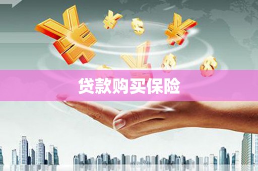张湾贷款购买保险
