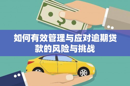 张湾如何有效管理与应对逾期贷款的风险与挑战