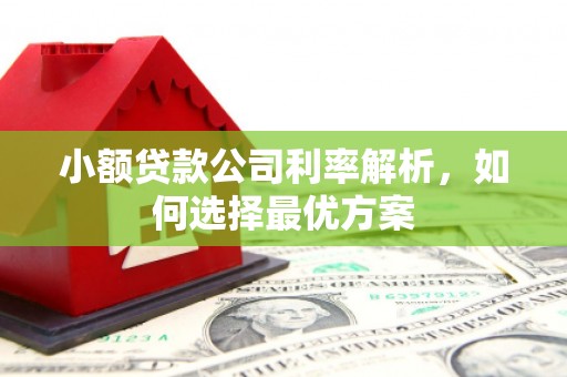 张湾小额贷款公司利率解析，如何选择最优方案