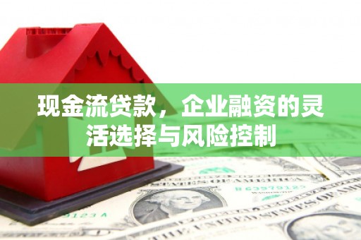 张湾现金流贷款，企业融资的灵活选择与风险控制