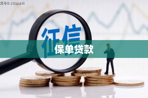 张湾保单贷款
