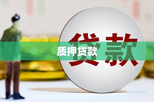 张湾质押贷款