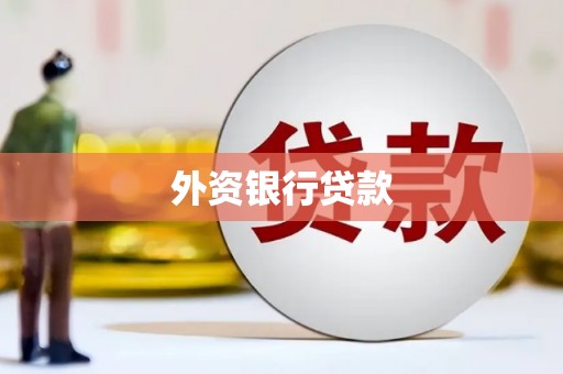张湾外资银行贷款