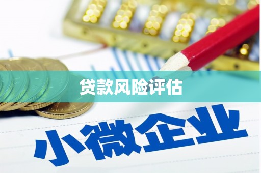 张湾贷款风险评估