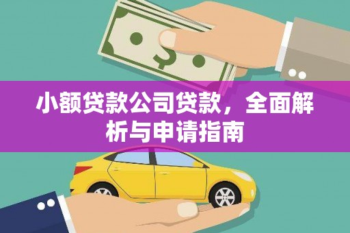 张湾小额贷款公司贷款，全面解析与申请指南