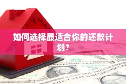 张湾如何选择最适合你的还款计划？