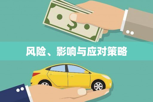 张湾风险、影响与应对策略