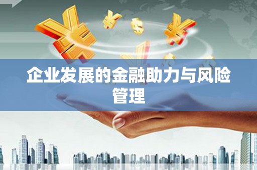 张湾企业发展的金融助力与风险管理