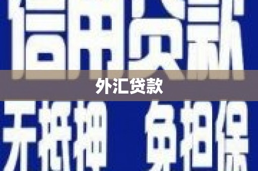 张湾外汇贷款