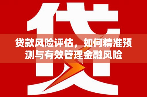 张湾贷款风险评估，如何精准预测与有效管理金融风险