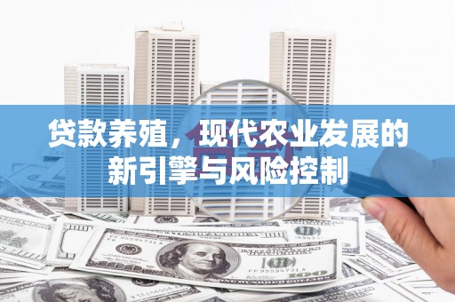 张湾贷款养殖，现代农业发展的新引擎与风险控制