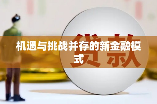 张湾机遇与挑战并存的新金融模式