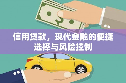 张湾信用贷款，现代金融的便捷选择与风险控制
