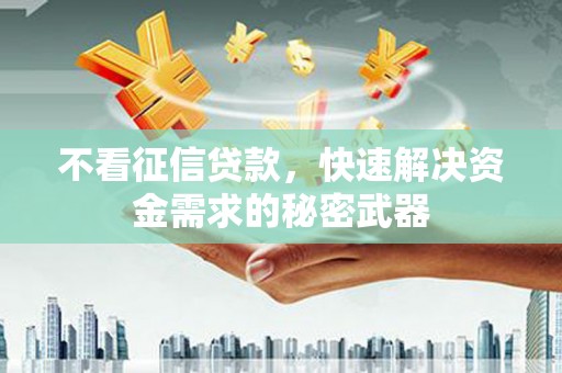 张湾不看征信贷款，快速解决资金需求的秘密武器