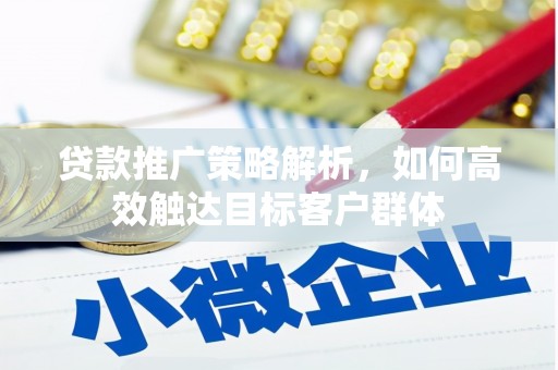 张湾贷款推广策略解析，如何高效触达目标客户群体