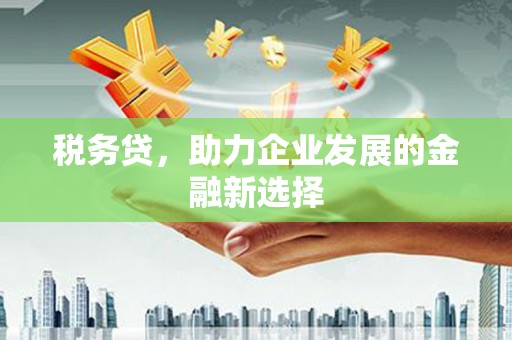 张湾税务贷，助力企业发展的金融新选择