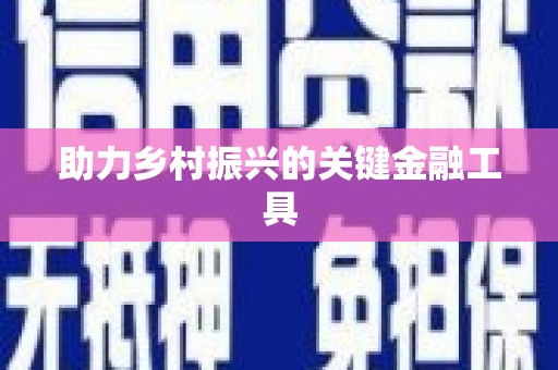 张湾助力乡村振兴的关键金融工具