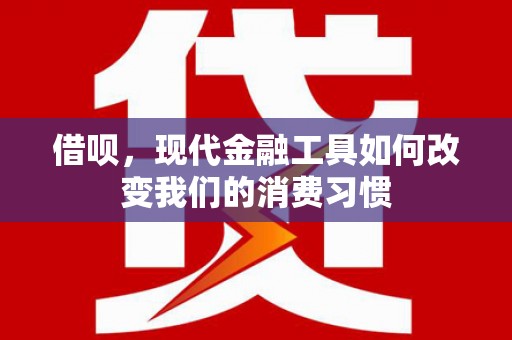 张湾借呗，现代金融工具如何改变我们的消费习惯