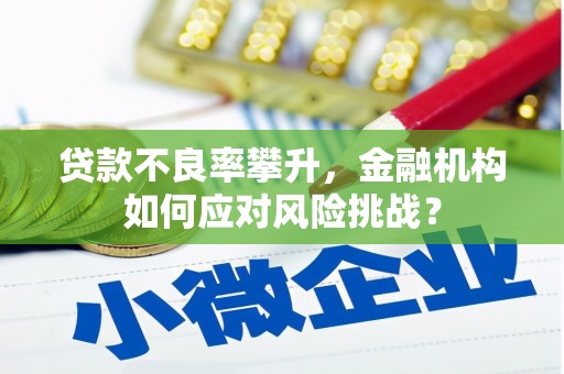张湾贷款不良率攀升，金融机构如何应对风险挑战？
