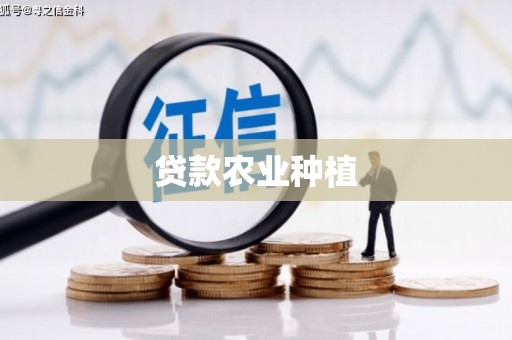 张湾贷款农业种植