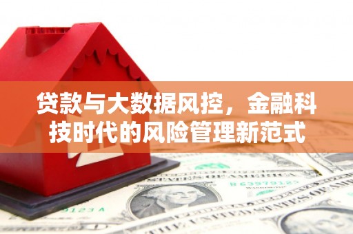 张湾贷款与大数据风控，金融科技时代的风险管理新范式