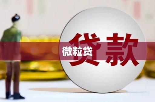 张湾微粒贷