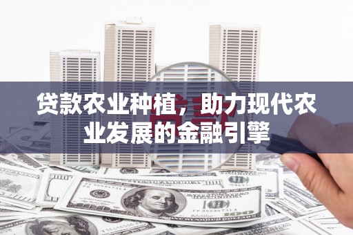 张湾贷款农业种植，助力现代农业发展的金融引擎