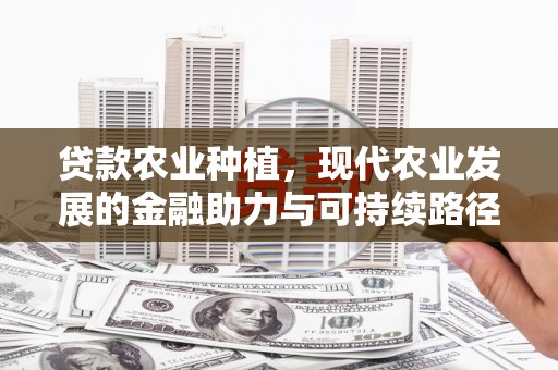 张湾贷款农业种植，现代农业发展的金融助力与可持续路径
