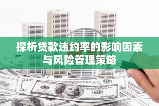 张湾探析贷款违约率的影响因素与风险管理策略