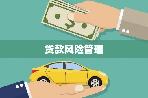 张湾贷款风险管理