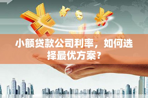 张湾小额贷款公司利率，如何选择最优方案？