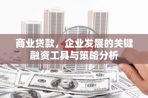 张湾商业贷款，企业发展的关键融资工具与策略分析