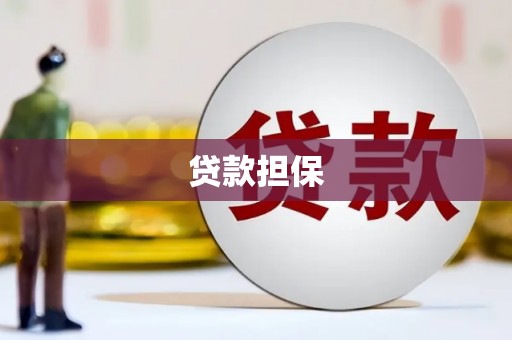 张湾贷款担保