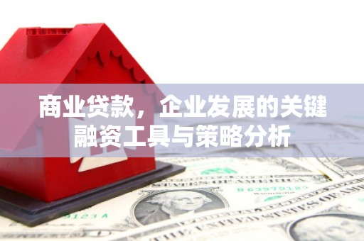 张湾商业贷款，企业发展的关键融资工具与策略分析