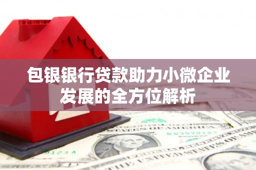 张湾包银银行贷款助力小微企业发展的全方位解析