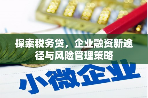 张湾探索税务贷，企业融资新途径与风险管理策略