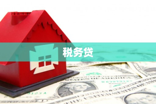 张湾税务贷