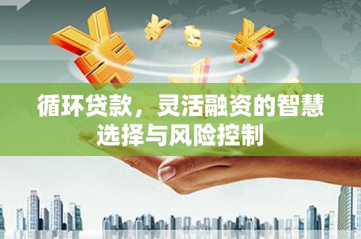 张湾循环贷款，灵活融资的智慧选择与风险控制